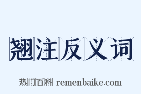 翘注反义词是什么意思的图片